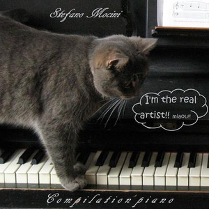 欧美亚洲精品无🈚视屏
