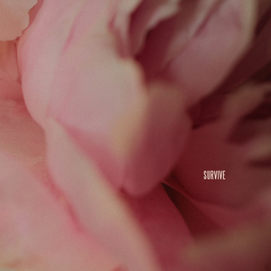 欧美亚洲精品无🈚视屏
