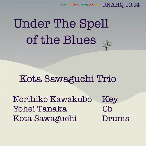 欧美亚洲精品无🈚视屏
